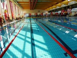 Halle DMM LS